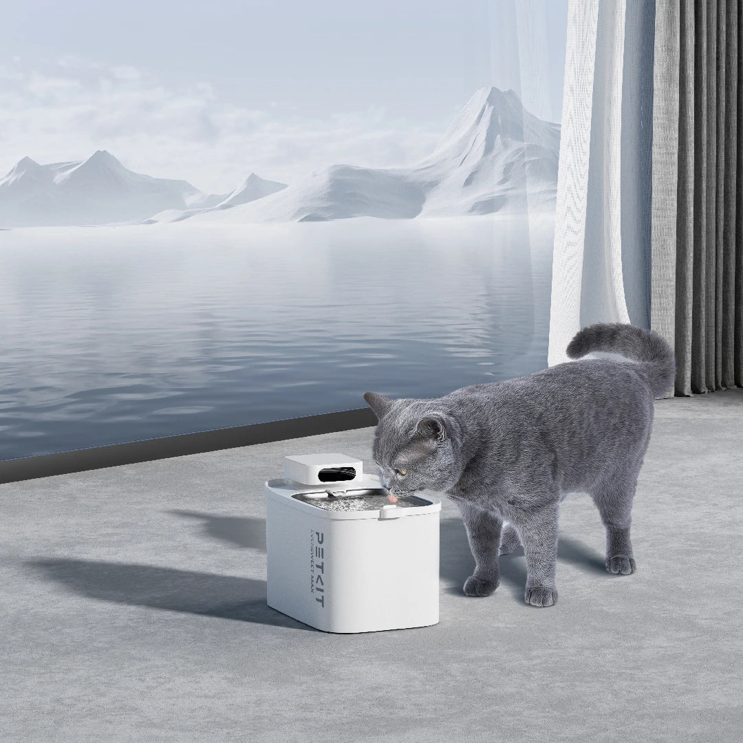 Smart Water Fountains