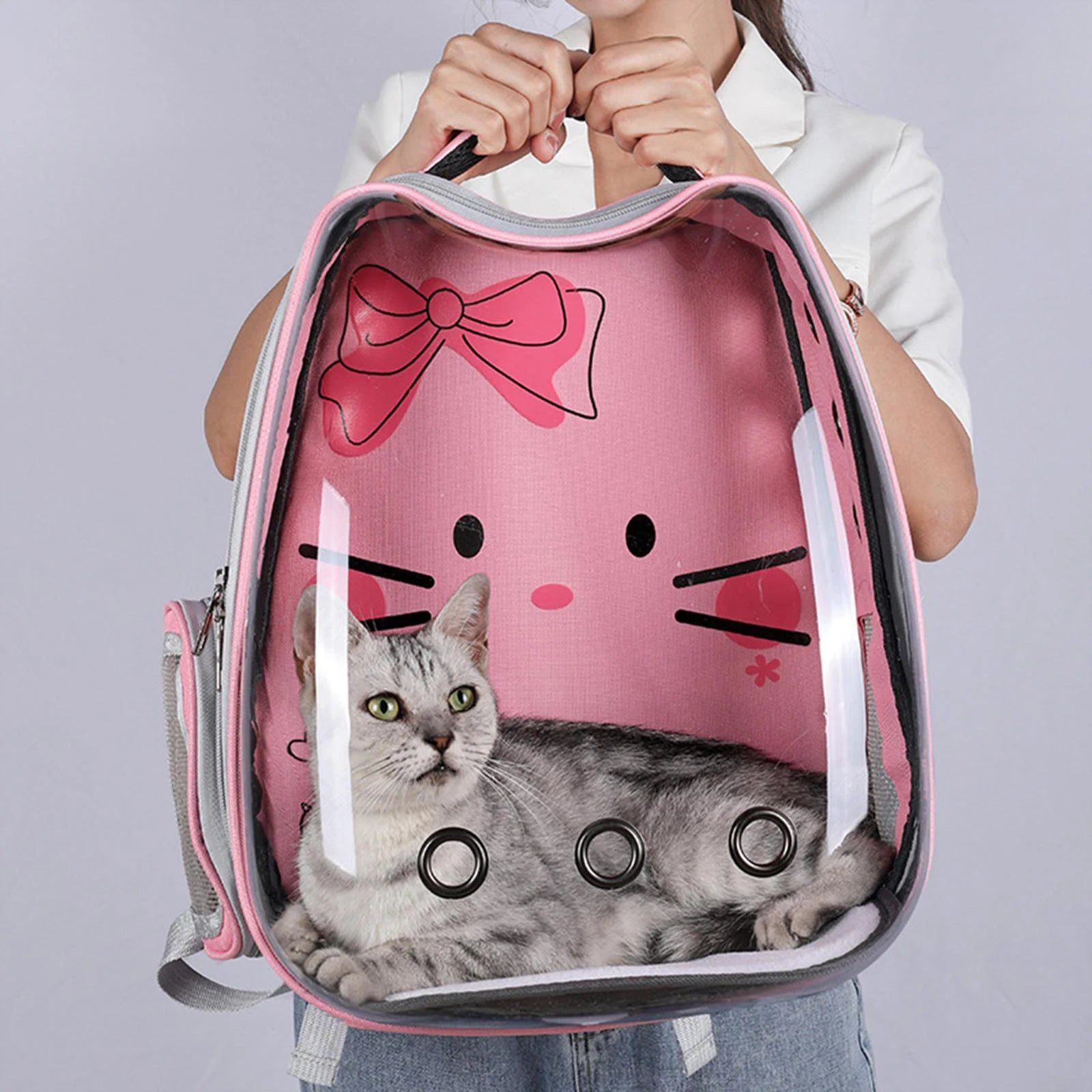 Transparent Pet Carry Backpack