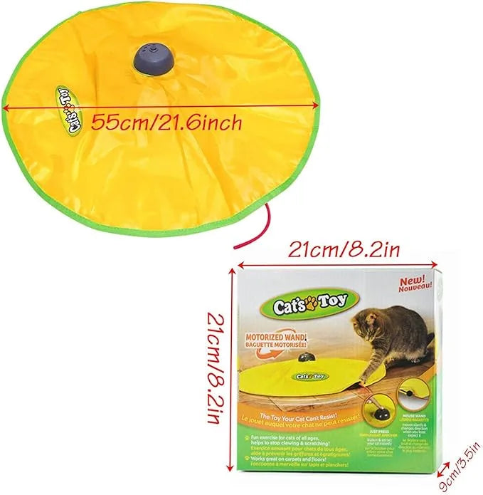 Cat Chase Toy