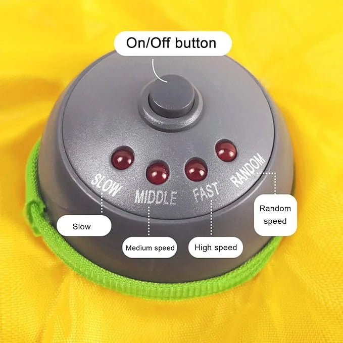 Cat Chase Toy