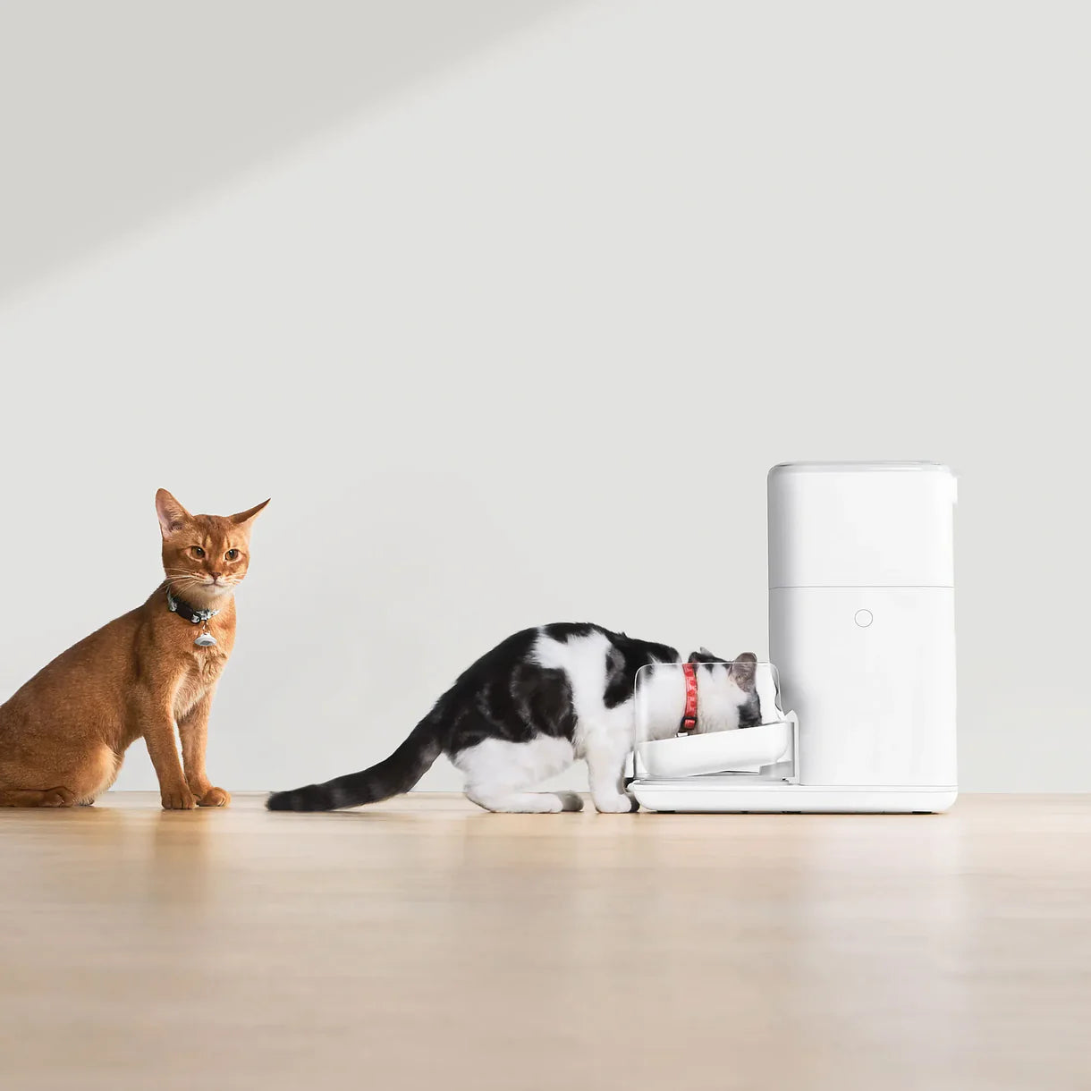 CATLINK Automatic Feeder RFID Fresh 2 - Luxury