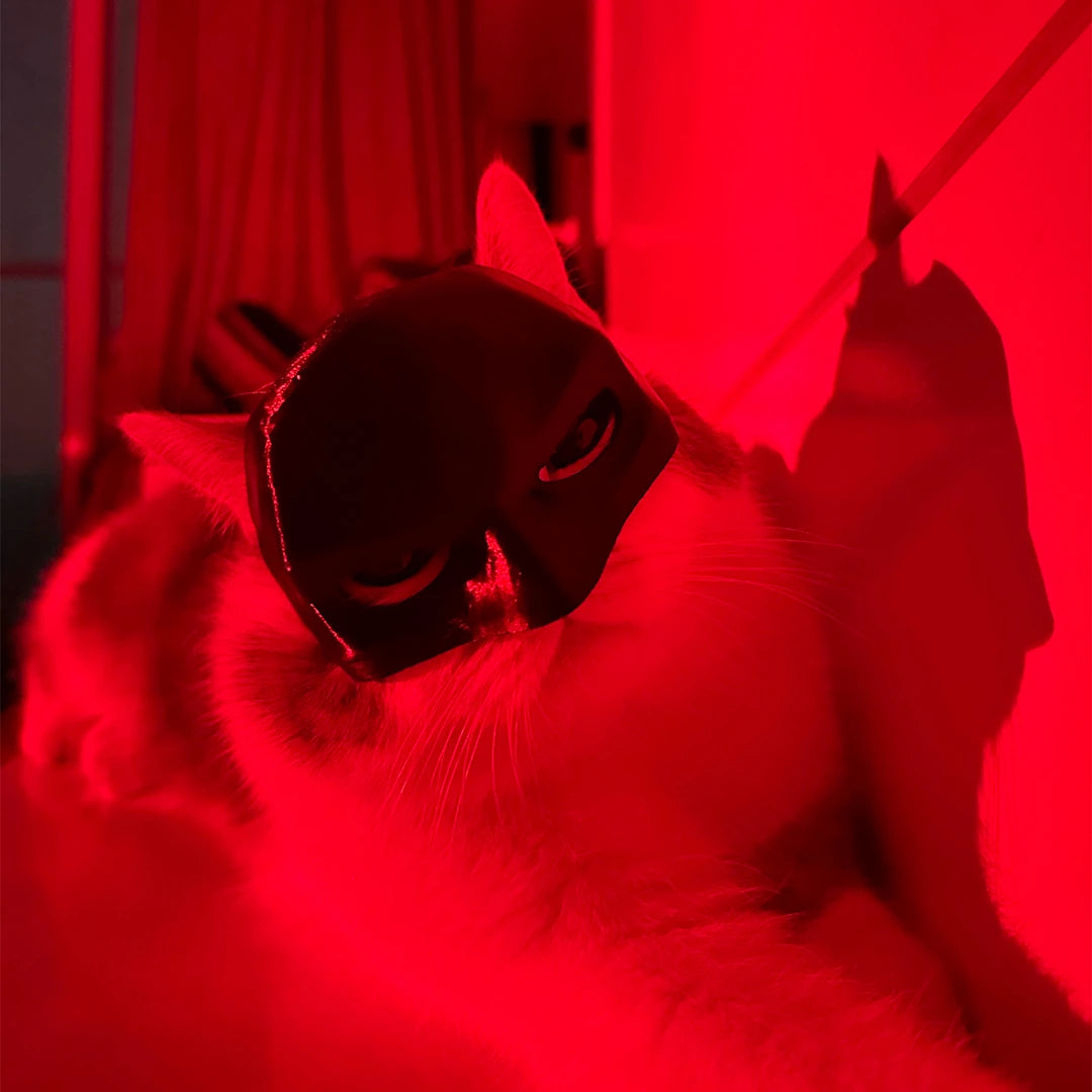 Cat-Batman mask