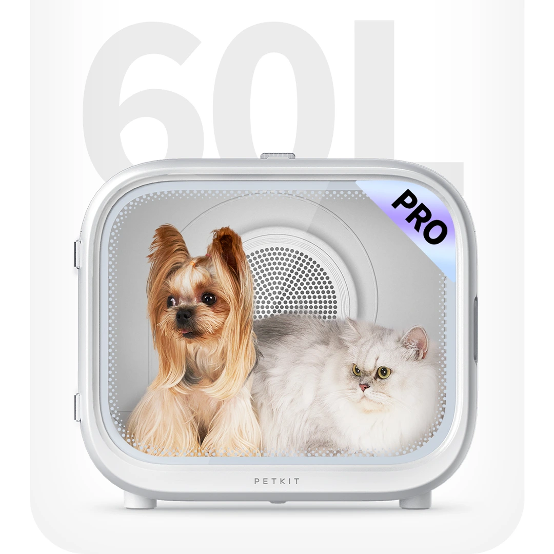 AirSalon Max Pro