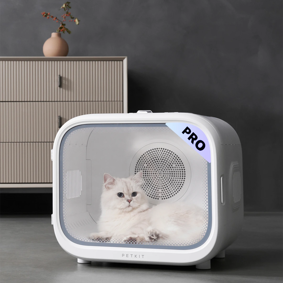 AirSalon Max Pro