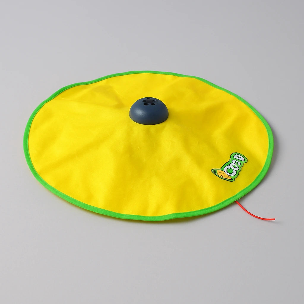 Cat Chase Toy