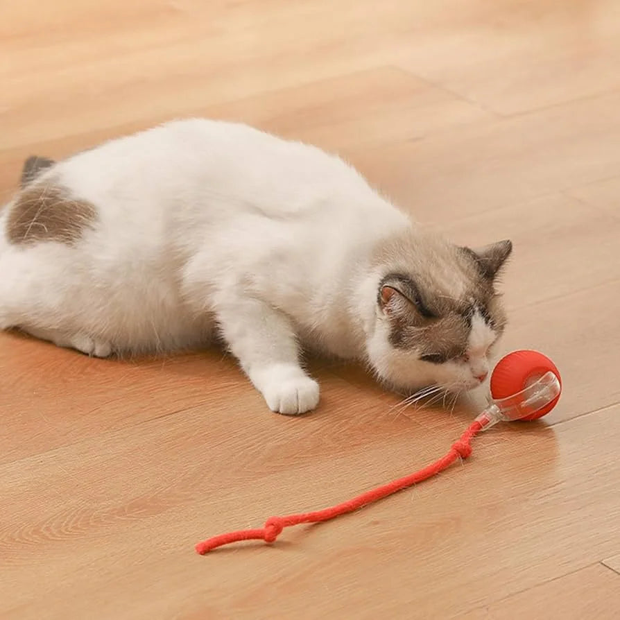 Smart Pet - Smart Call Toy Ball