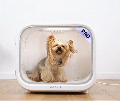 AirSalon Max Pro