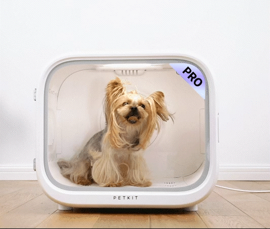 AirSalon Max Pro