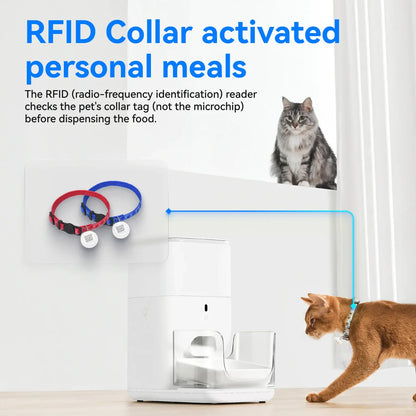 CATLINK Automatic Feeder RFID Fresh 2 - Luxury