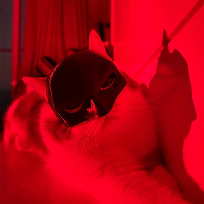 Cat-Batman mask