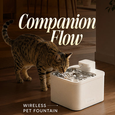 Companion Flow by Smart Pet