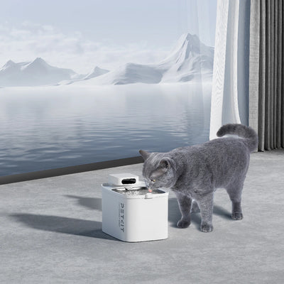 Petkit EverSweet Max - Pet drinking fountain - Cats, Dogs