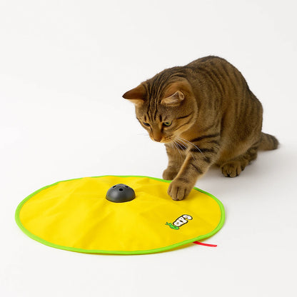 Cat Chase Toy