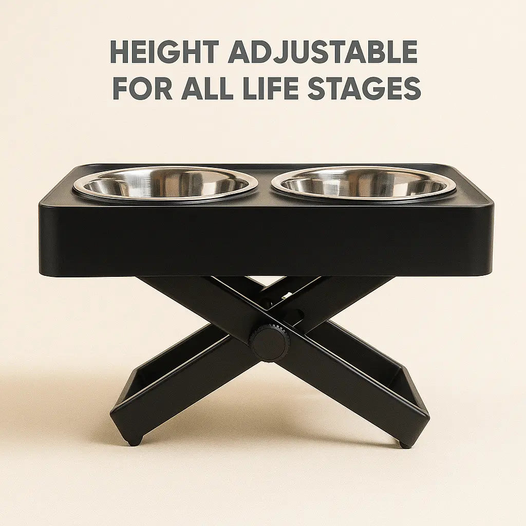 Dual Bowl Dog Feeder