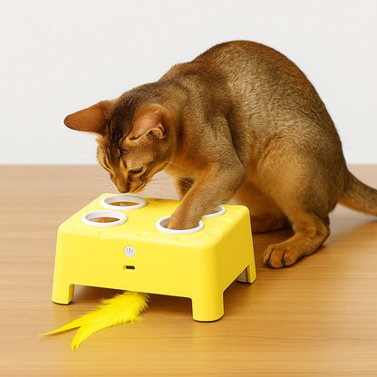 Cheese Magic House Interactive Toy