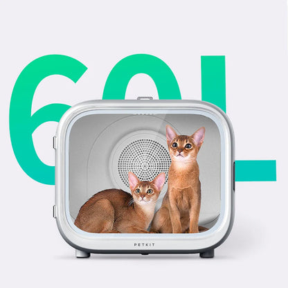 AirSalon Max
