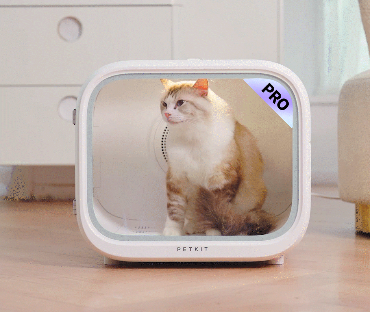AirSalon Max Pro
