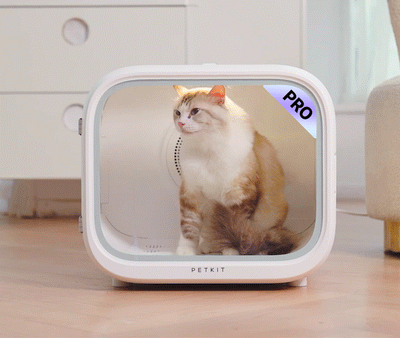 AirSalon Max Pro