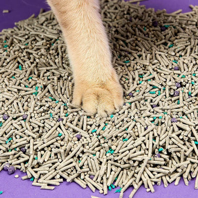 Tofu Flushable Clumping Cat Litters - 2 Bags