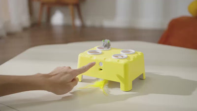 Cheese Magic House Interactive Toy