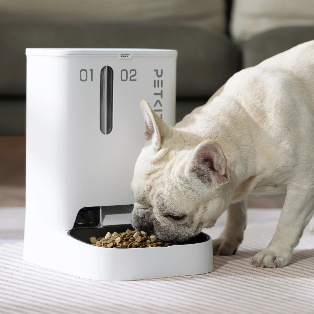 A white automatic pet feeder with a built-in camera, showing a French Bulldog eating from the dispenser.