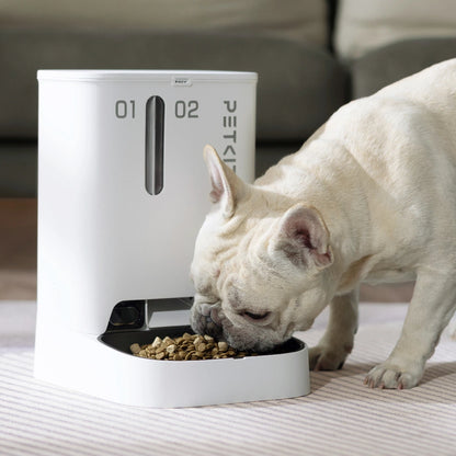 A white automatic pet feeder with a built-in camera, showing a French Bulldog eating from the dispenser.