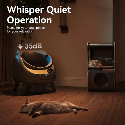 CATLINK Self-Cleaning Litter Box - Scooper Open-X